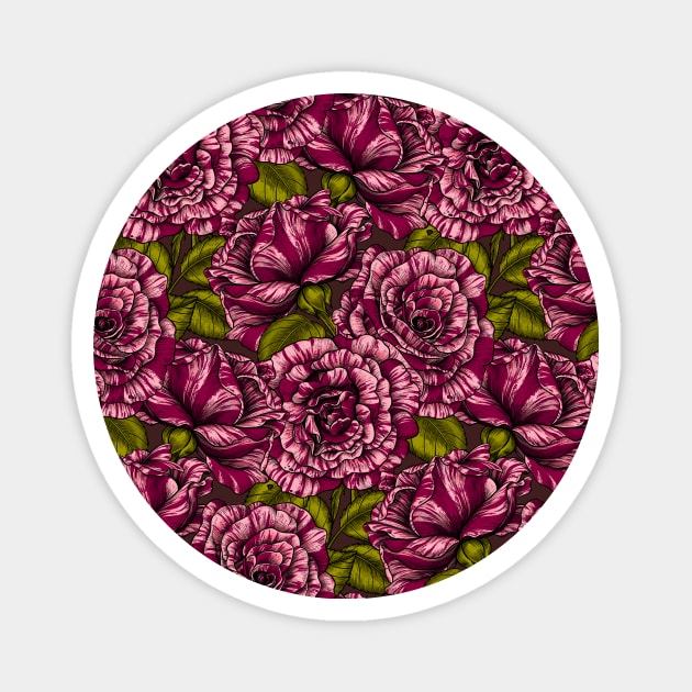 Roses for you, bicolor Magnet by katerinamk